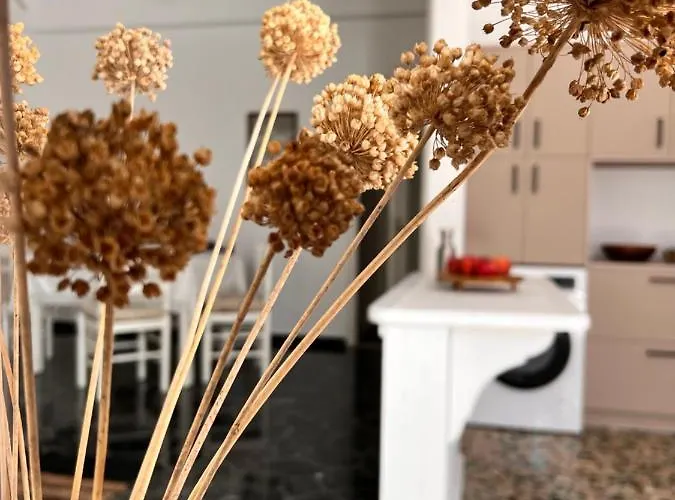 Διαμέρισμα In *